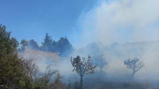 Mersin'de tarım arazisinde çıkan yangın söndürüldü