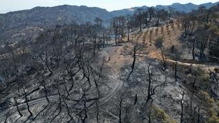 Manisa'daki orman yangınlarında zarar gören alanlar dronla görüntülendi
