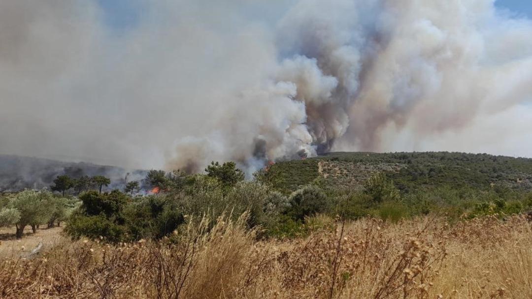 İzmir de orman yangını... Çeşme’de 2 mahalle tahliye edildi 1