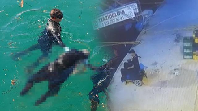 Muğla'da kahreden olay! Akülü sandalyesiyle geldi, kendini denize bıraktı