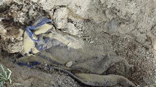 Cesedini İstanbul'dan kilometrelerce uzağa götürmüşler! Battaniyeye sarılı halde bulununca detaylar ortaya çıktı