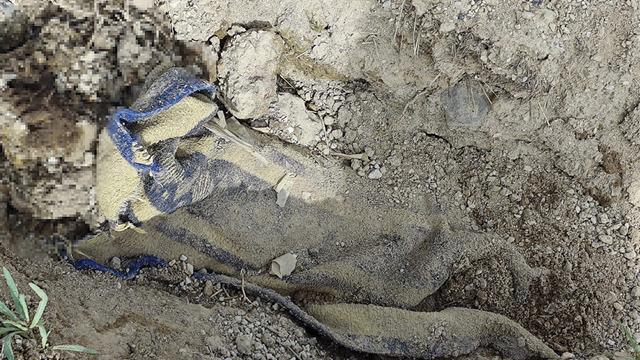 Cesedini İstanbul'dan kilometrelerce uzağa götürmüşler! Battaniyeye sarılı halde bulununca detaylar ortaya çıktı