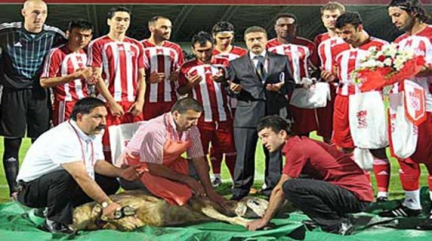 Kurban kesimi Sırpları şok etti!