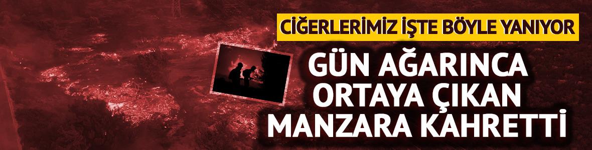 Ciğerlerimiz işte böyle yanıyor! Çeşme'deki yangının verdiği zarar gün ağarınca ortaya çıktı