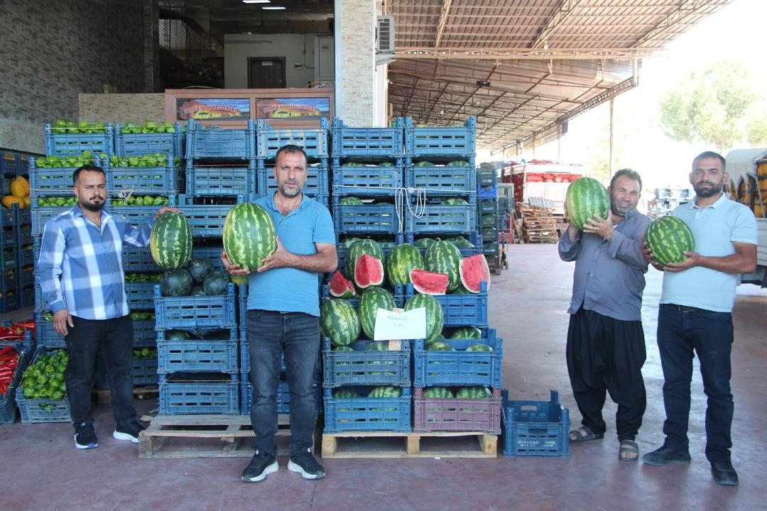 Fiyatı 1 TL ye düştü! Tek tek yere atıp kırdılar... Market fiyatına tepki 2
