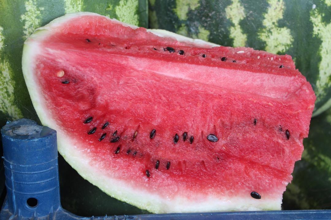 Fiyatı 1 TL ye düştü! Tek tek yere atıp kırdılar... Market fiyatına tepki 5