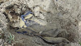 Boş arazide battaniyeye sarılı halde bulunmuştu... Cesedi kamyonetle kilometrelerce taşımışlar! 