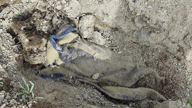 Boş arazide battaniyeye sarılı halde bulunmuştu... Cesedi kamyonetle kilometrelerce taşımışlar! 