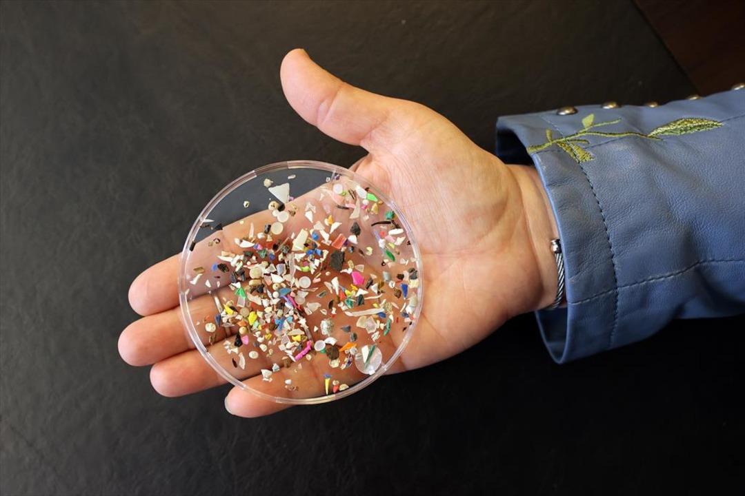 Yeni bilimsel araştırma: Mikroplastikler üreme sistemine sızdı! Doğurganlık alarmı: Mikroplastikler üreme sağlığını etkiler mi? Kadınların %69’u, erkeklerin %55’i etkilendi... 2