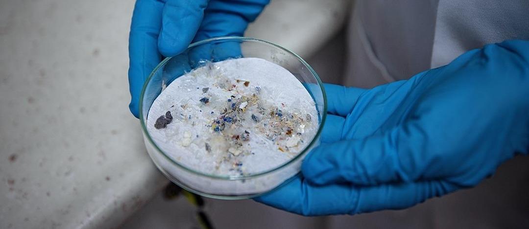 Yeni bilimsel araştırma: Mikroplastikler üreme sistemine sızdı! Doğurganlık alarmı: Mikroplastikler üreme sağlığını etkiler mi? Kadınların %69’u, erkeklerin %55’i etkilendi... 3