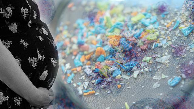 Yeni bilimsel araştırma: Mikroplastikler üreme sistemine sızdı! Doğurganlık alarmı: Mikroplastikler üreme sağlığını etkiler mi? Kadınların %69’u, erkeklerin %55’i etkilendi...