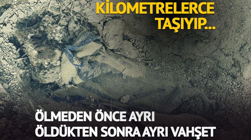 Kilometrelerce taşınan ceset hayvanlara yem olmuş!