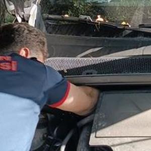 Batman'da otomobilin motoruna sıkışan kediyi itfaiye kurtardı