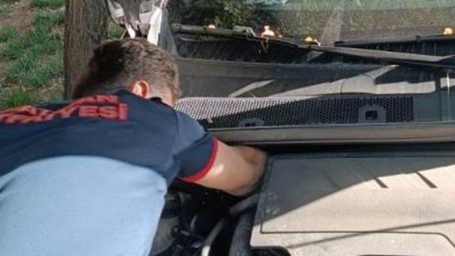 Batman'da otomobilin motoruna sıkışan kediyi itfaiye kurtardı