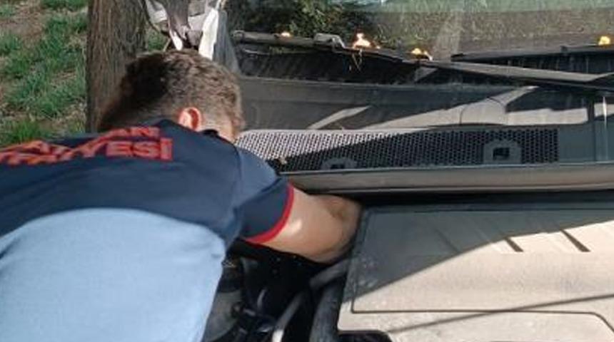 Batman'da otomobilin motoruna sıkışan kediyi itfaiye kurtardı