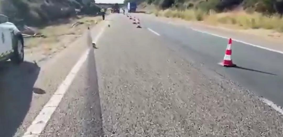 Diogo Jota nın hayatını kaybettiği kazanın görüntüleri ortaya çıktı! Araç yanarak paramparça halde bulunmuş... 1