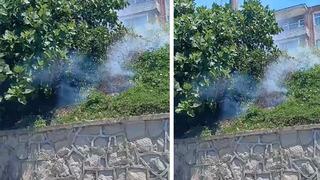 Elektrik telinde akıma kapılan karga, tarlada yangına neden oldu