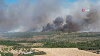 Silivri'de yangın! Korkulan oldu, ormanlık alana sıçradı: 1 kişi gözaltında... Kontrol altına alındı