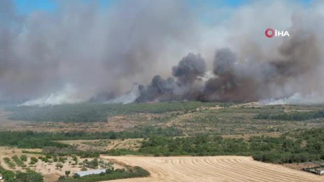 Silivri'de yangın! Korkulan oldu, ormanlık alana sıçradı: 1 kişi gözaltında... Kontrol altına alındı