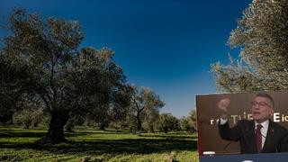 Zeytinliklerle ilgili gelen o soruya çok kızdı! Şu AK Parti'ye bir teşekkür edin ya!
