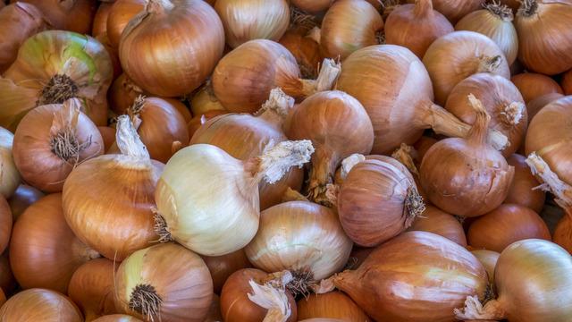 Kuru soğanın filizlenmemesi için ne yapmak gerekir? Kuru soğanın filizlenmemesi için yapılması gerekenler