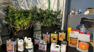 Kırklareli'nde uyuşturucu operasyonu: 3 gözaltı