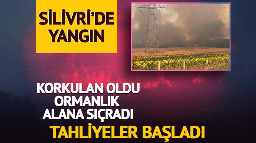 Silivri'de yangın! Tahliyeler başladı, 1 kişi gözaltında