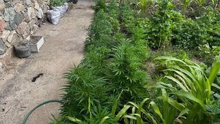 Kırıkkale'de uyuşturucu operasyonu: Aynı aileden 3 şüpheliye gözaltı