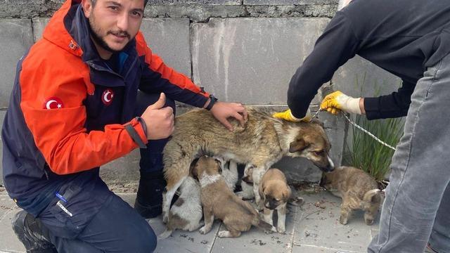 Havalandırma boşluğunda mahsur kalan yavru köpekleri AFAD ekibi kurtardı