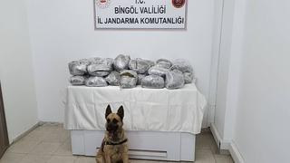 Bingöl'de uyuşturucu operasyonu! 49 kilo 600 gram esrar ele geçirildi