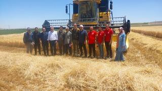 Karapınar’da hububat hasadı devam ediyor