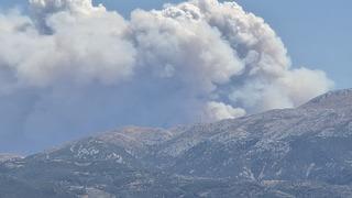 Suriye'de sınıra yakın bölgede orman yangını