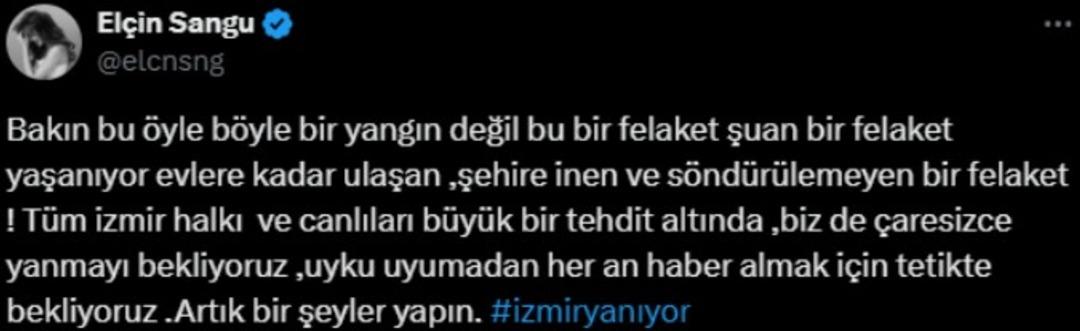 elçin elçin