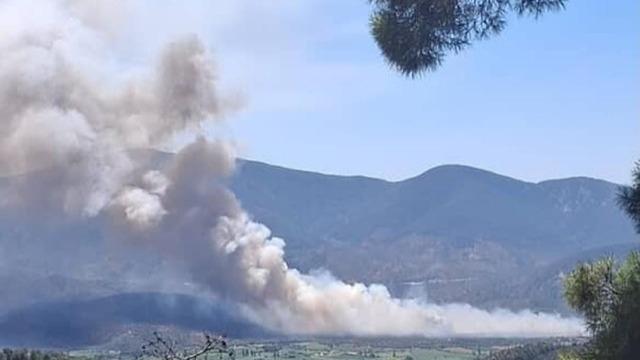 Milas Pınarcık’ta makilik ve zeytinlik alan yangını