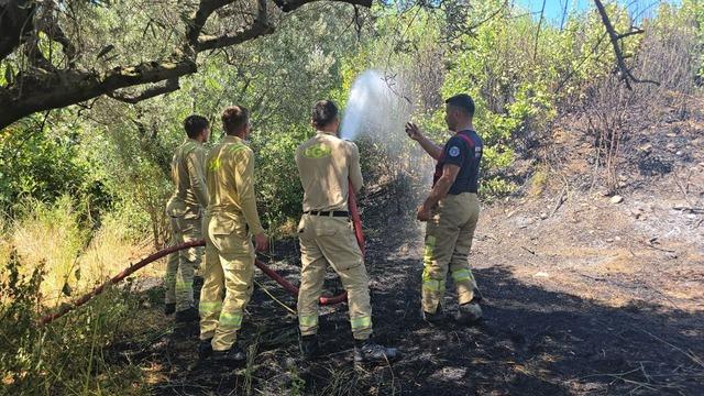 Yangına zamanında müdahale buğday tarlasını kurtardı