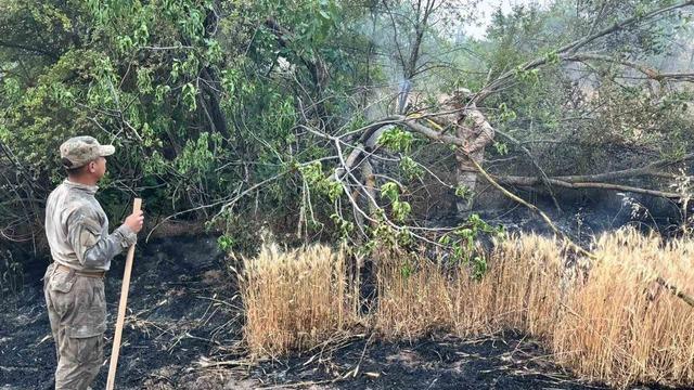 Eskişehir’den Bilecik yangınına giden jandarma ekipleri döndü