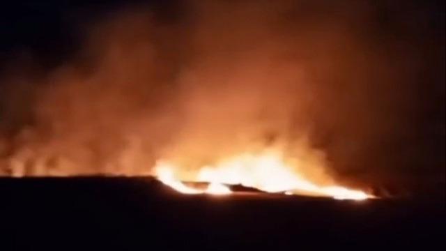 Tekirdağ’da iki mahallede çıkan yangında 20 dönüm buğday tarlası kül oldu