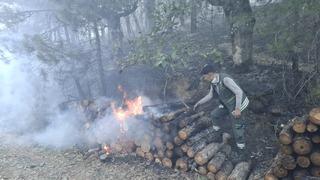 Motorlu testerenin egzozundan sıçrayan kıvılcım ormanı yakmış: 1 tutuklama