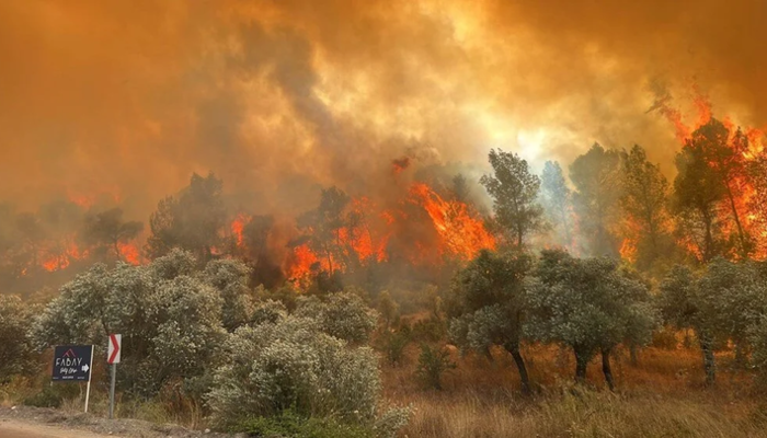 20529089-700x400 "Yeşil vatan savunmasına devam ediyoruz" Bakan Yumaklı'dan orman yangınları açıklaması! "Kontrol altına alındı..."