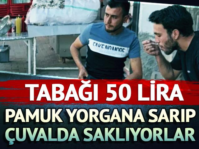 Tabağı 50 lira! Pamuk yorgana sarıp çuvalda saklıyorlar 