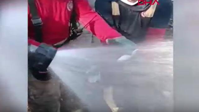 İzmir'de orman yangınında can çekişirken bulunan balığı itfaiye kurtardı