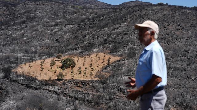 Etrafı küle döndü! İzmir'deki yangında 4 dönümlük bahçe alevlerden etkilenmedi: Emeğimin karşılığını aldım