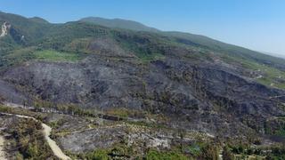 Hatay Dörtyol'daki orman yangınında zarar gören alanlar dronla görüntülendi