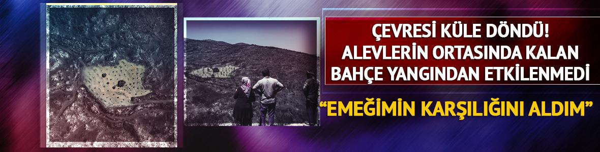 Etrafı küle döndü! Alevlerin ortasında kalan bahçe yangından etkilenmedi: "Emeğimin karşılığını aldım"