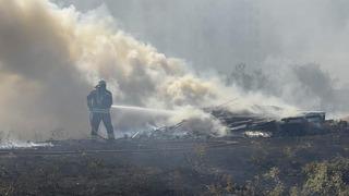 Ağaçlık alan ve gecekonduya sıçrayan yangın söndürüldü
