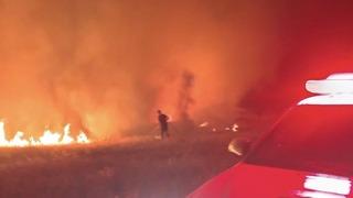 Malatya'da korkutan yangın! Büyümeden söndürülmesi sevindirdi