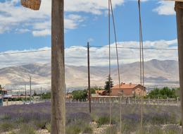 Köy o hamleyle turizm merkezi oldu! Akın akın geliyorlar, satış da başlayacak