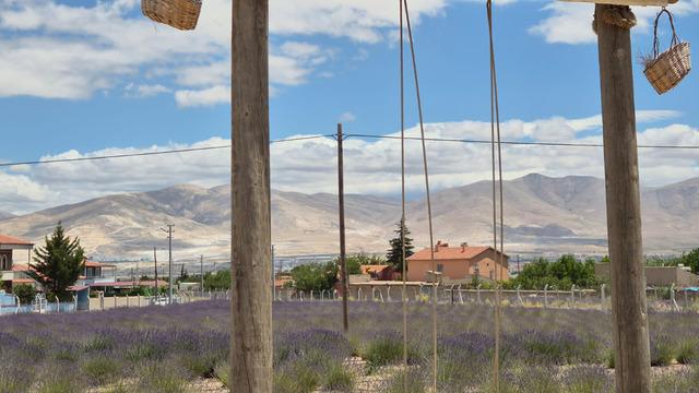 Köy o hamleyle turizm merkezi oldu! Akın akın geliyorlar, satış da başlayacak