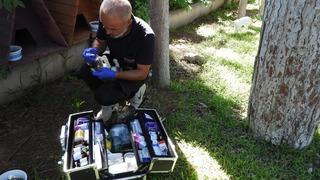 Kepez’in can dostları emin ellerde