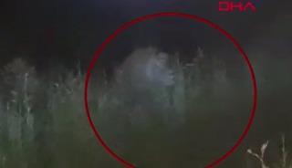 SON DAKİKA | Manavgat'ta 'Aslan' kaosu! Hayvan parkından kaçtı: 1 kişi ağır yaralı...
